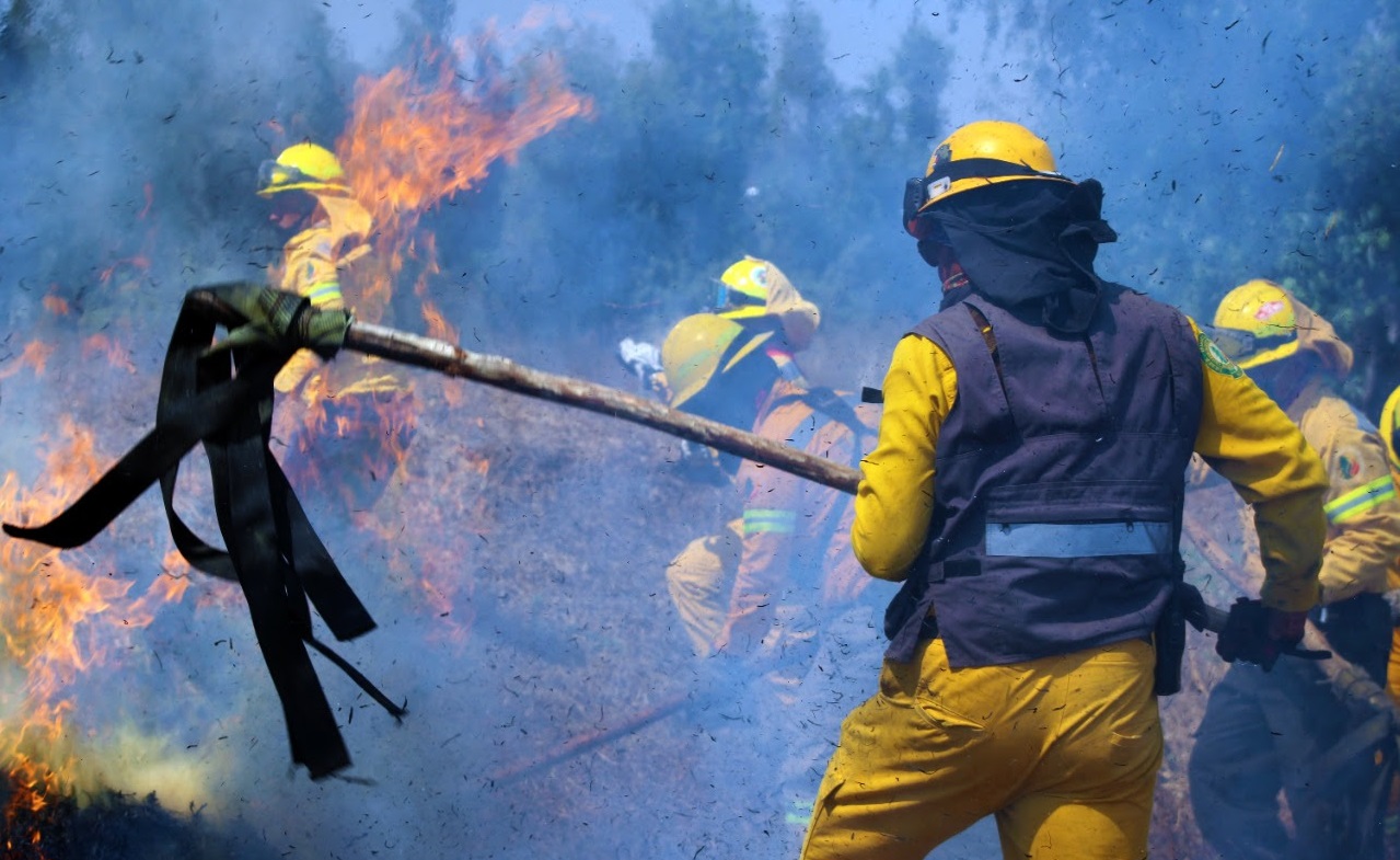 Combaten brigadistas de Sedema 960 incendios forestales y 803 conatos de incendio en casi un ano