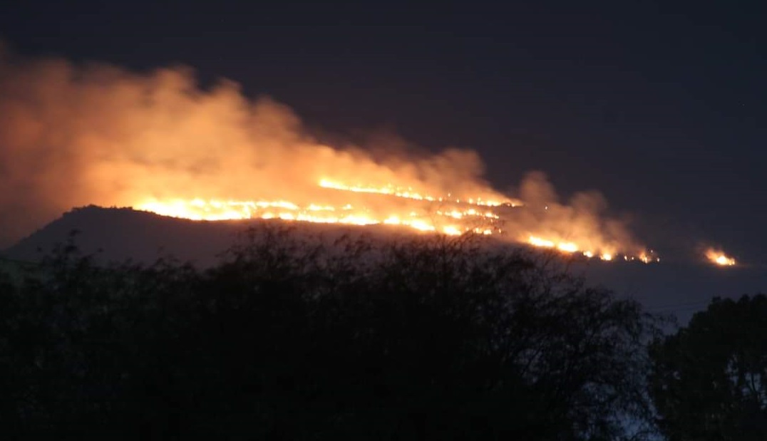 Se atiende incendio forestal en la Sierra de San Miguelito en San Luis Potosi