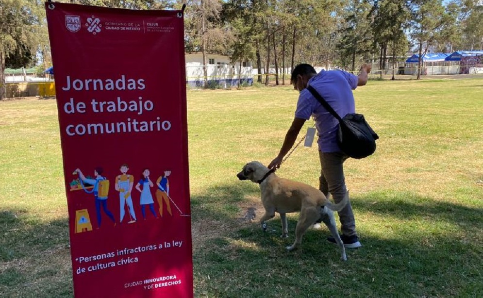 Se agrega el cuidado animal a las actividades de trabajo comunitario