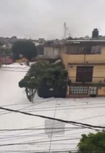 presa los cuartos nauc 2