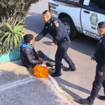 Video exhibe presunta agresión de policía a joven trabajador en Coyoacán y desata investigación interna