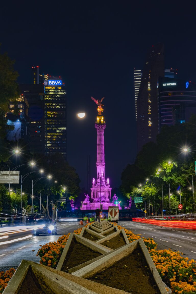 Foto: Miguel Sánchez en pexels